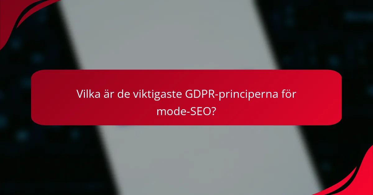Vilka är de viktigaste GDPR-principerna för mode-SEO?