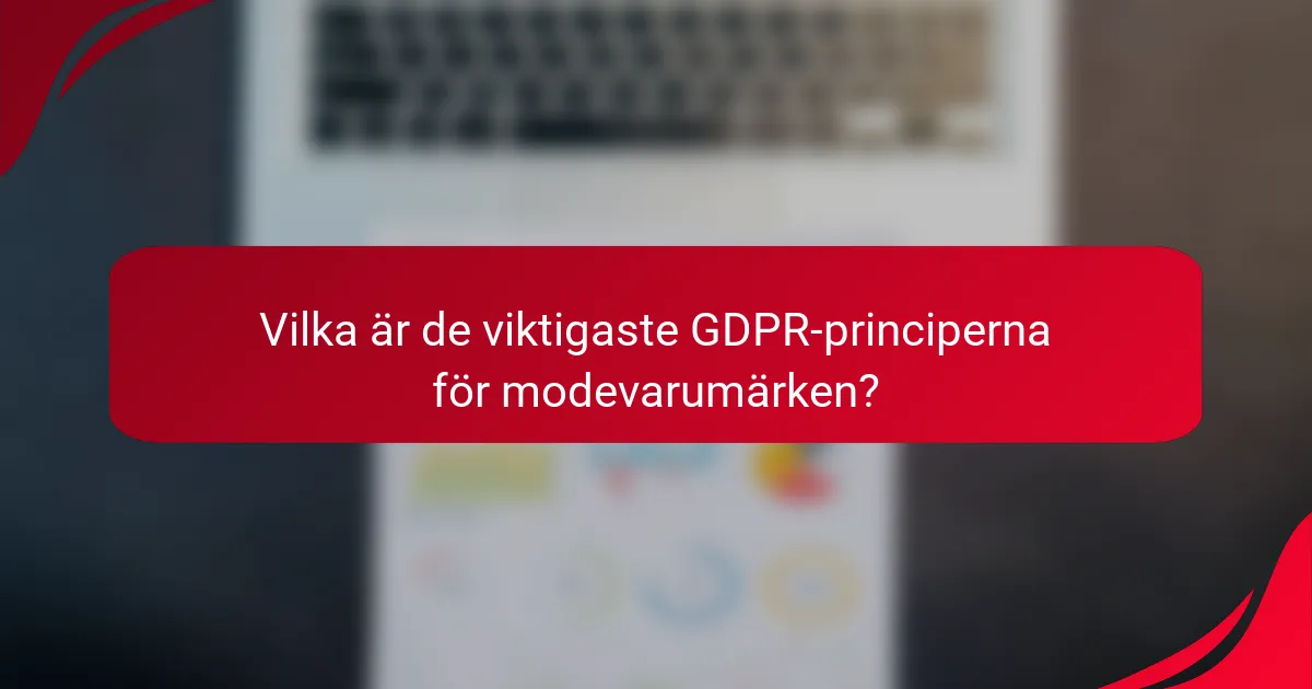Vilka är de viktigaste GDPR-principerna för modevarumärken?